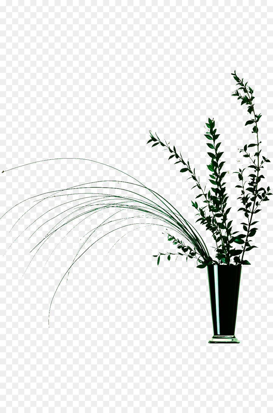 Planta Em Vaso，Folhas PNG