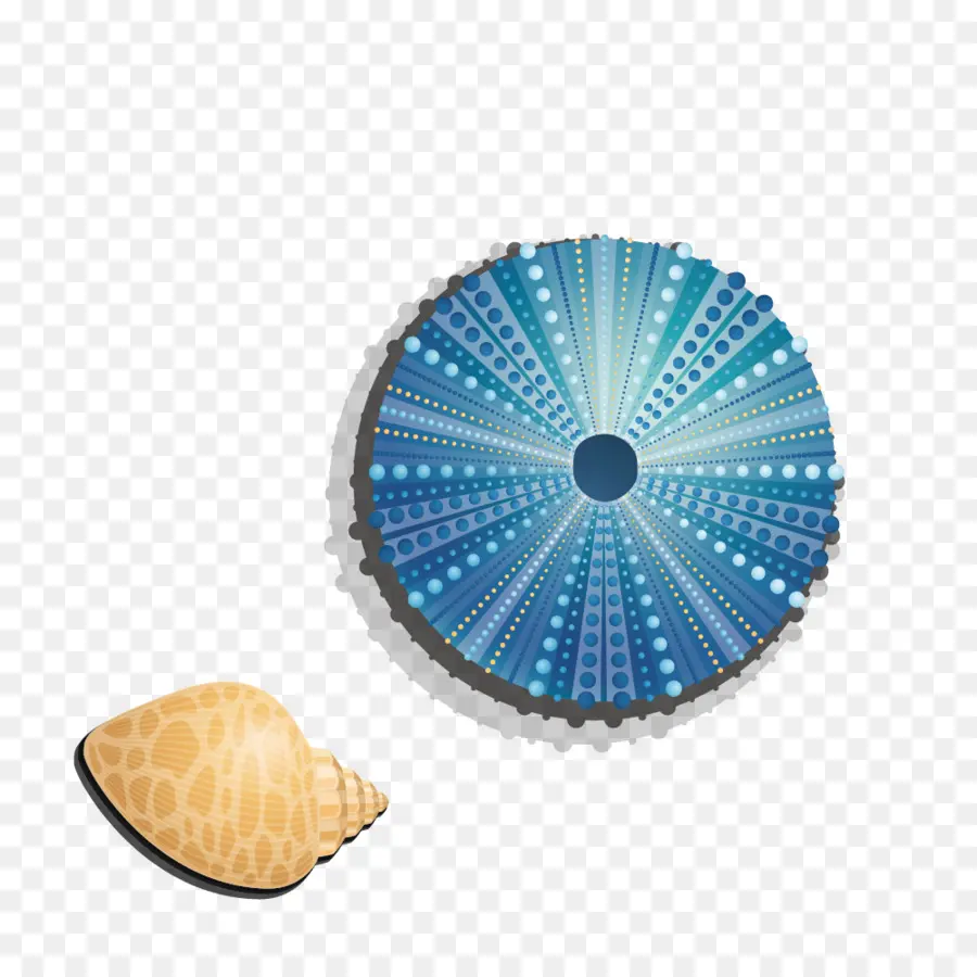 Azul，Seashell PNG