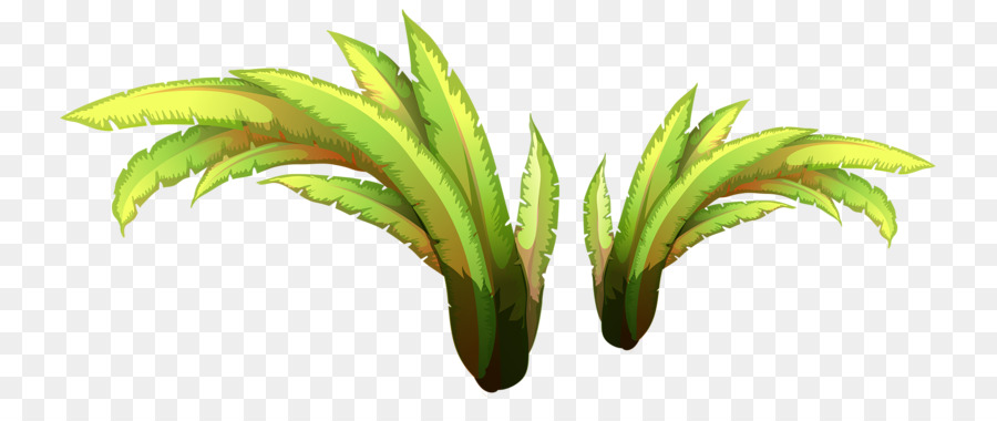 Desenho，Planta PNG