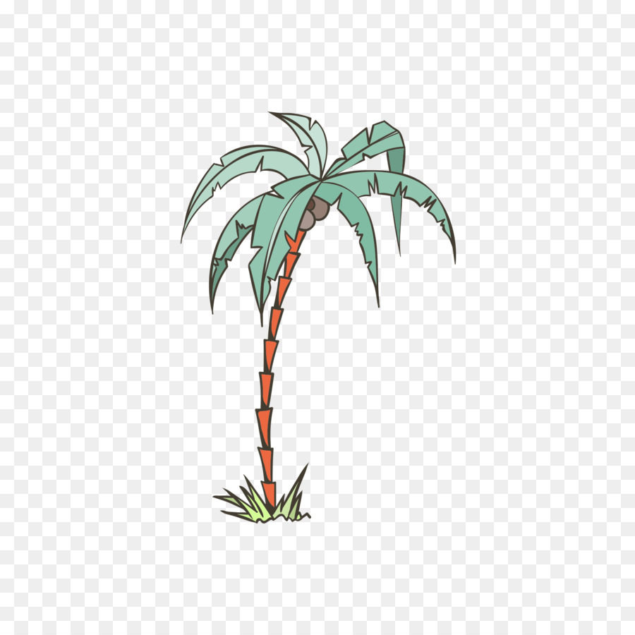 Arecaceae，Coco PNG