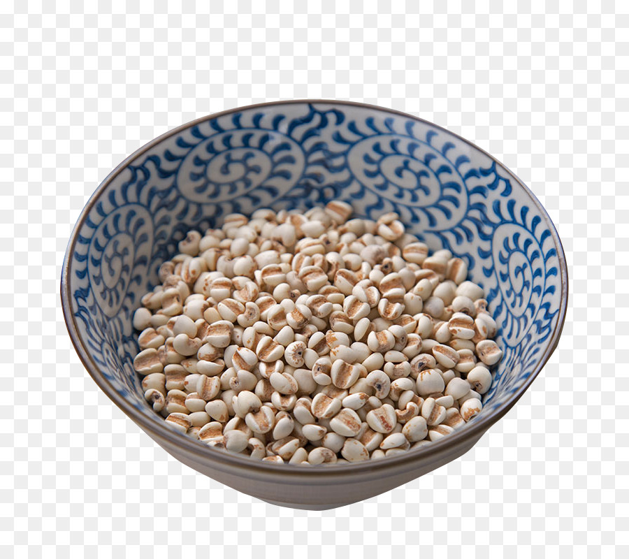 Adlay，Arroz PNG