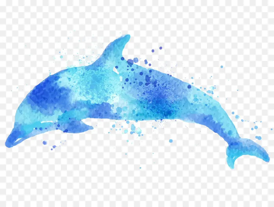 Papel，Dolphin PNG