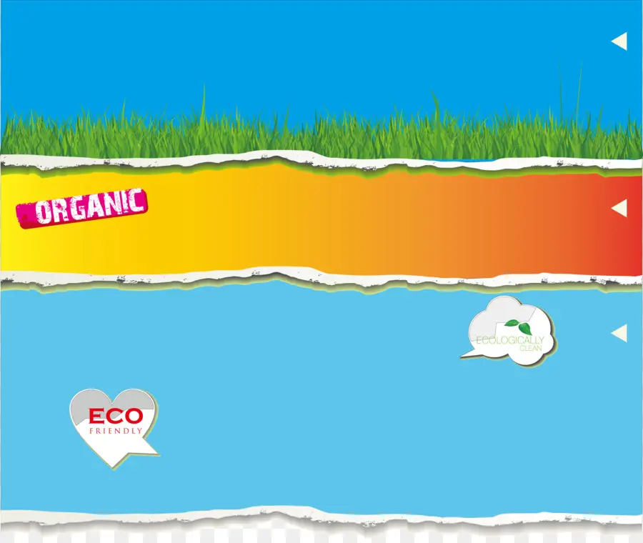 Banner Ecológico，Orgânico PNG