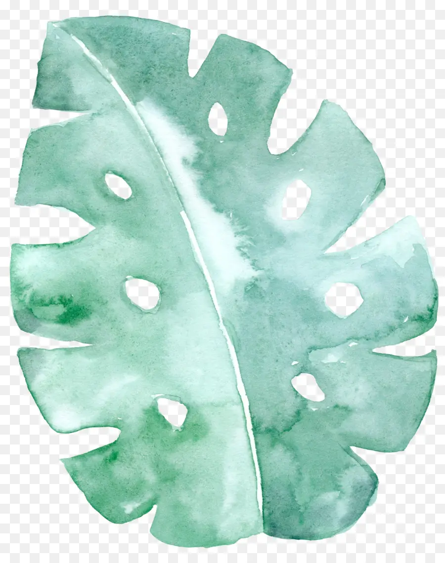 Folha Verde，Plantar PNG