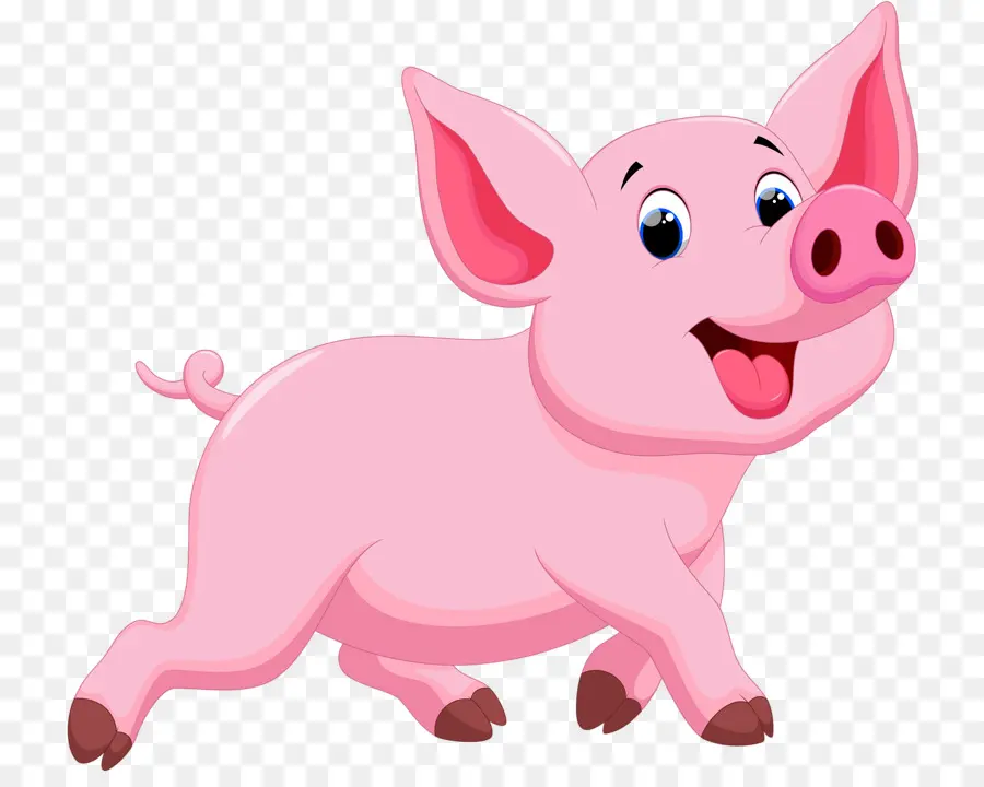 Porky Pig，O Porco Doméstico PNG