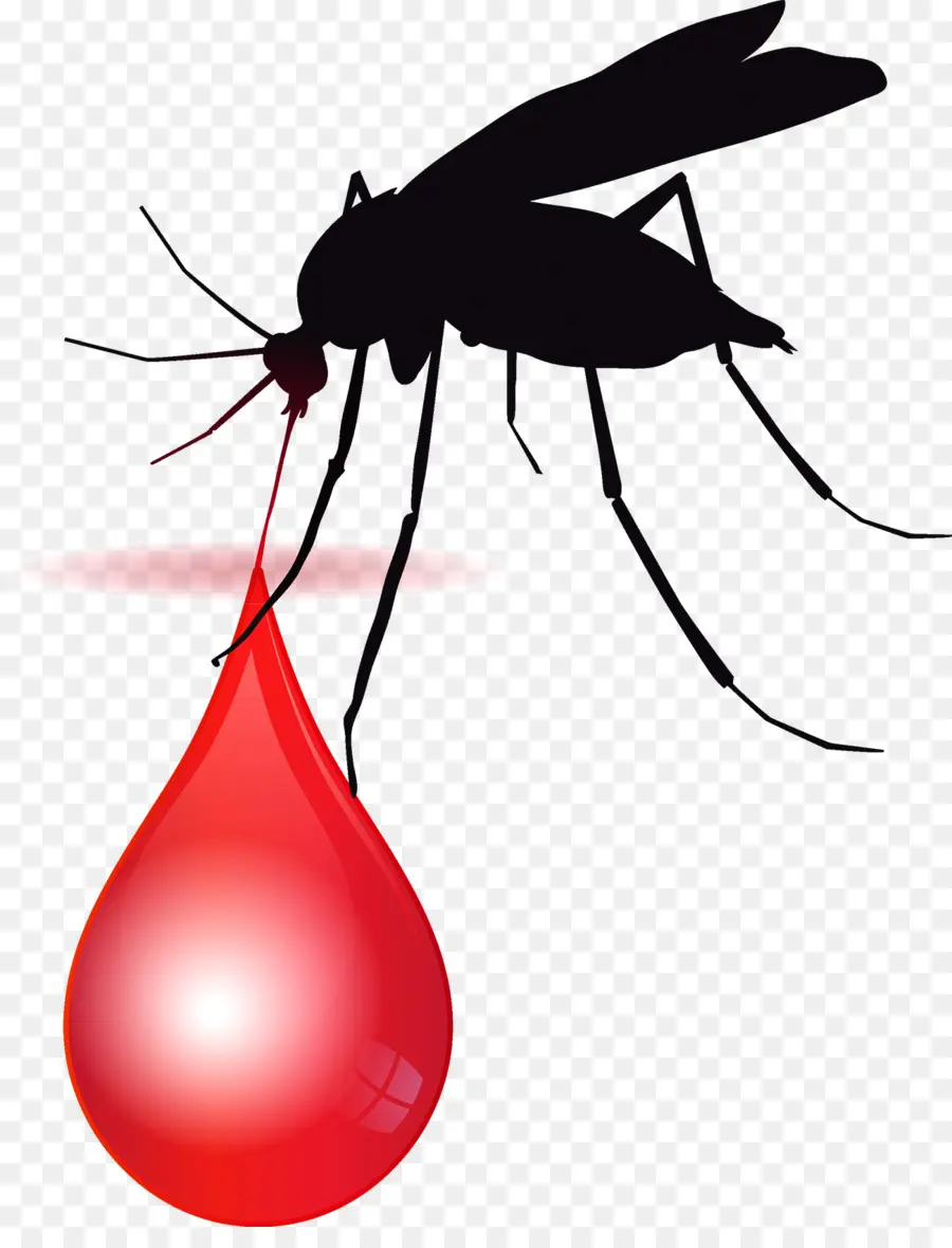 áfrica，Le Paludisme PNG