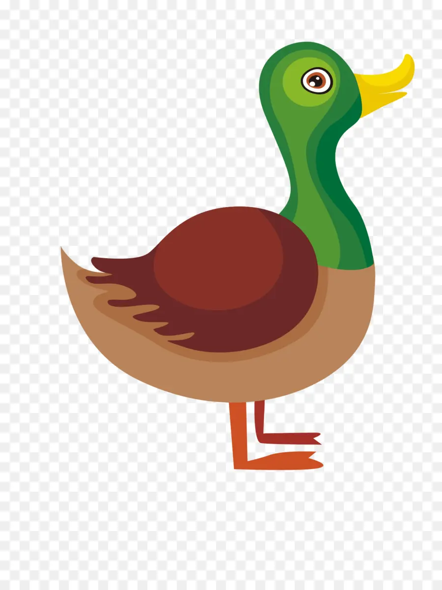 Pato Real，Pássaro PNG