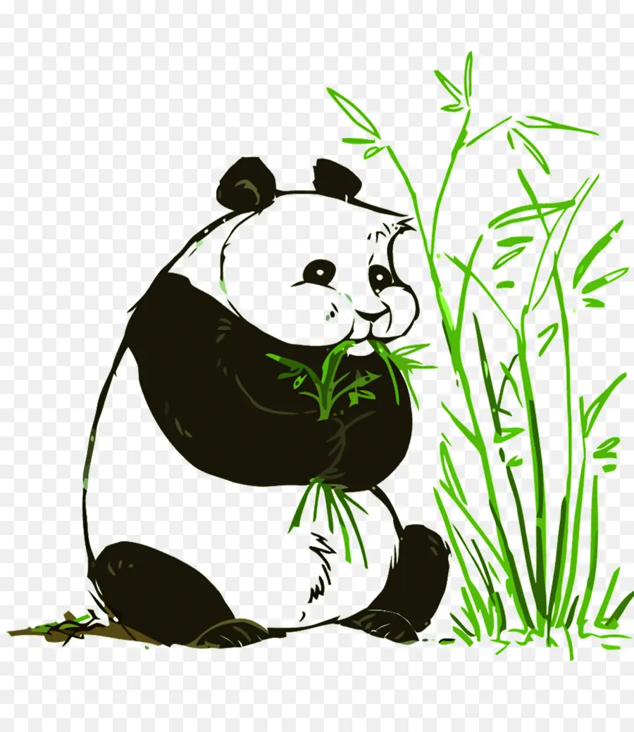 Panda Gigante，Panda Vermelho PNG