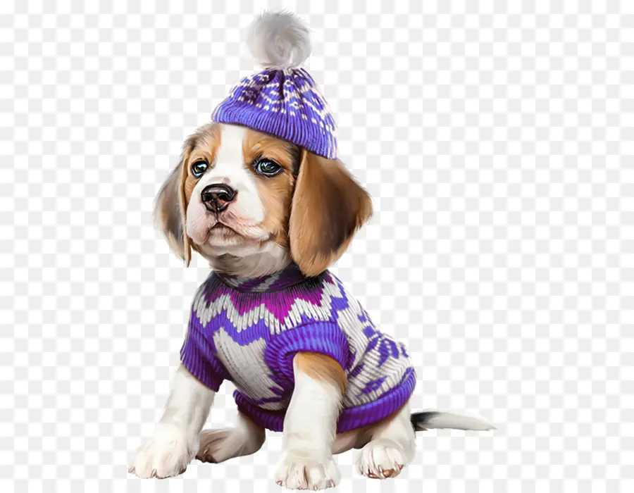 Beagle，Cavalier King Charles Spaniel PNG