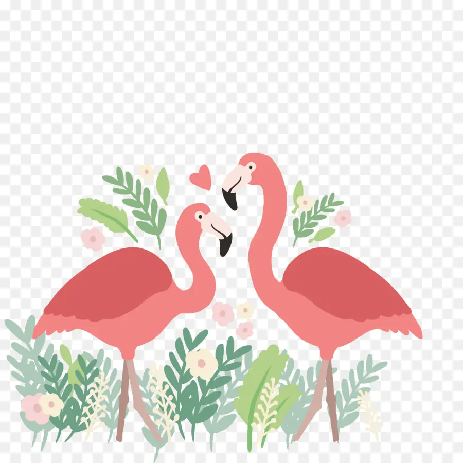 Flamingo，Download PNG