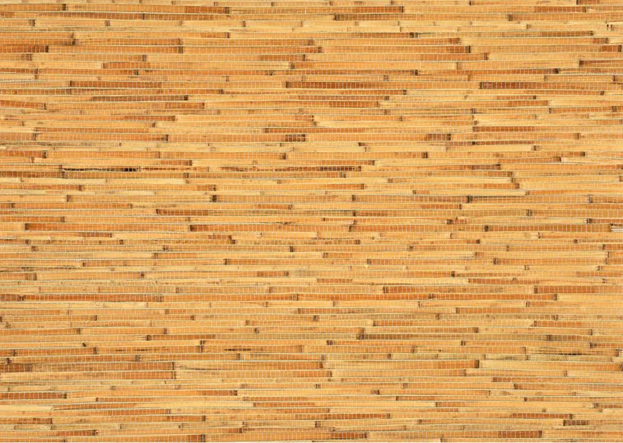 Bambu，Amarelo PNG