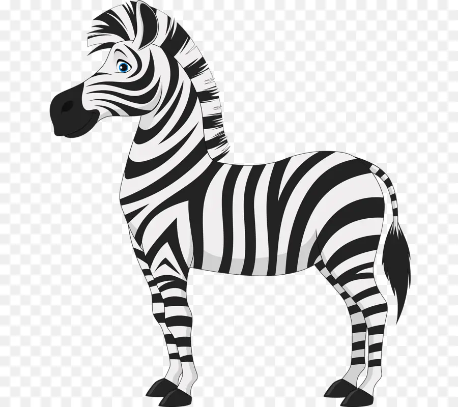 Cavalo，Zebra PNG