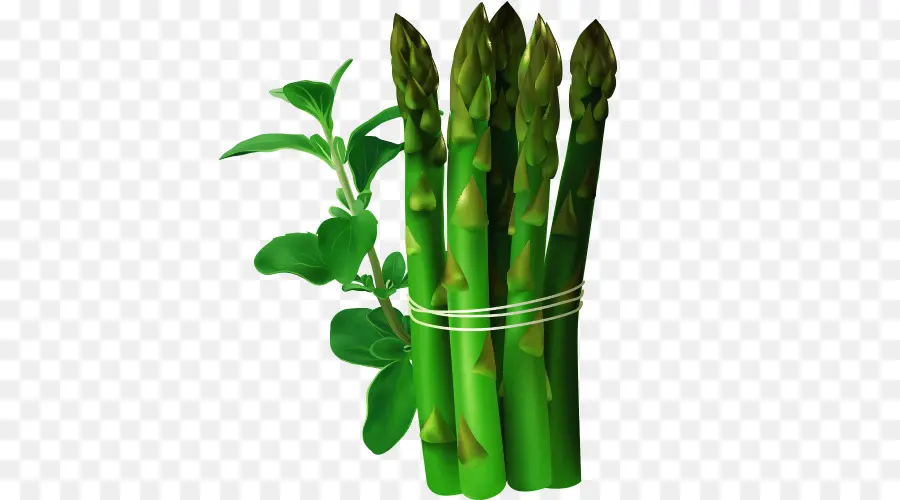 Broto De Bambu，Bambu PNG