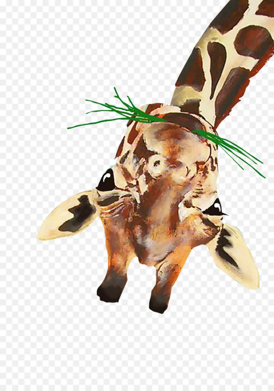 Girafa，Comer Grama PNG