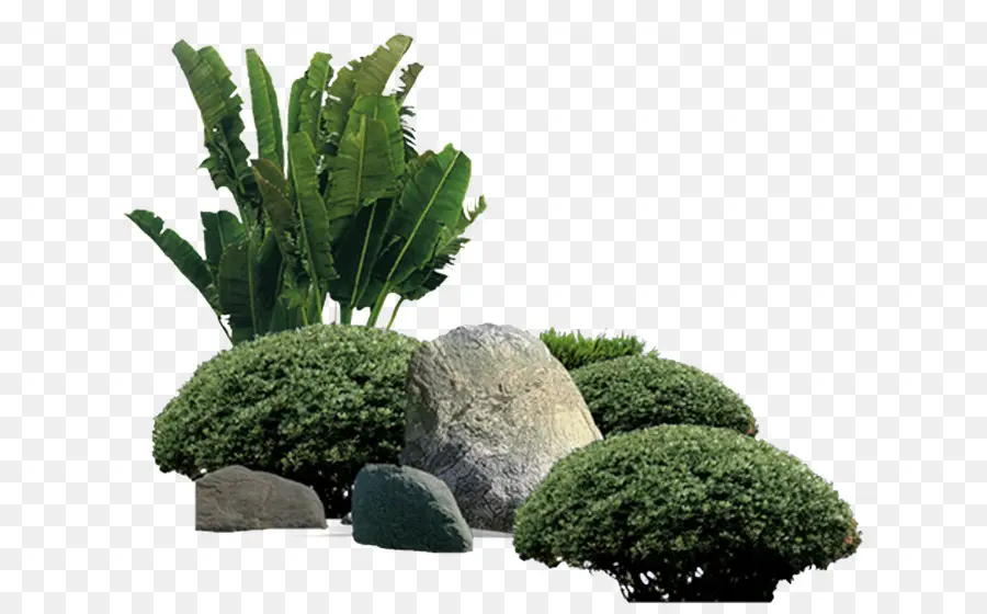 Plantas Verdes E Rochas，Arbustos PNG