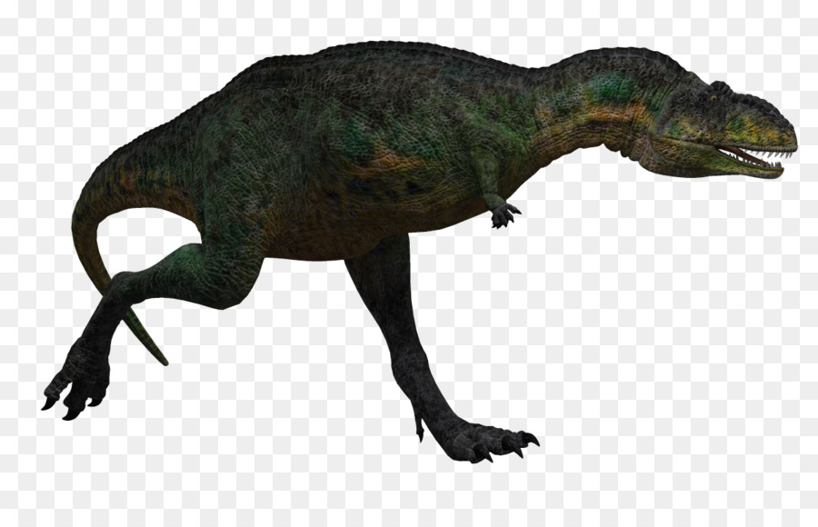 Tiranossauro，Aucasaurus PNG