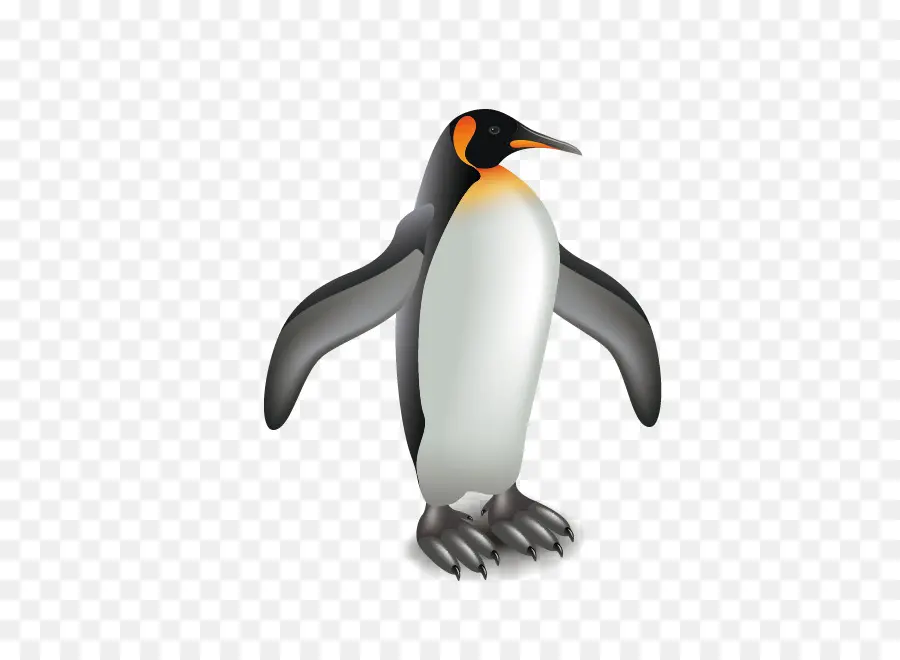 Penguin，Pinguim Rei PNG