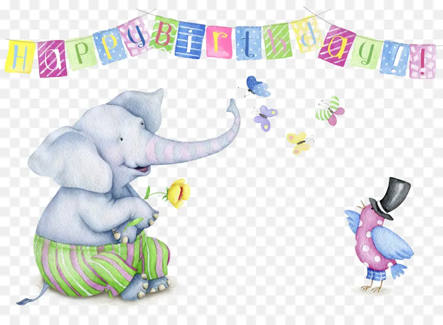 Elefante E Pássaro，Aniversário PNG