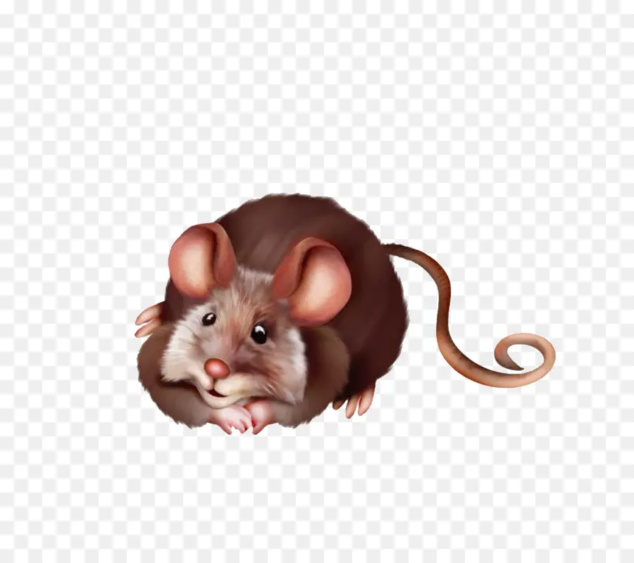 Rato Fofo，Roedor PNG