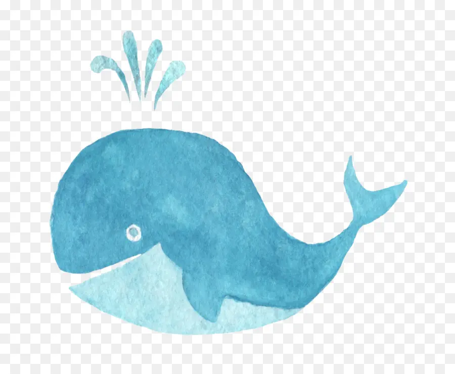 Download，Dolphin PNG