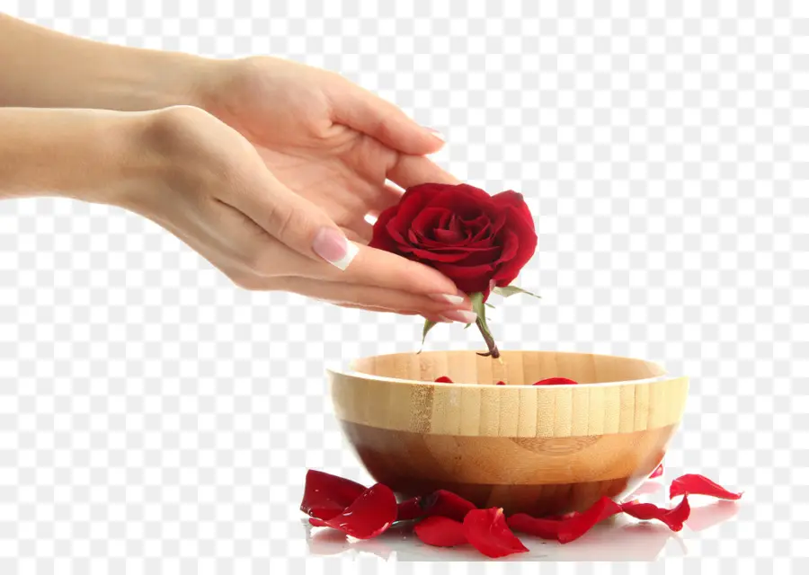 Rosa，Mãos PNG