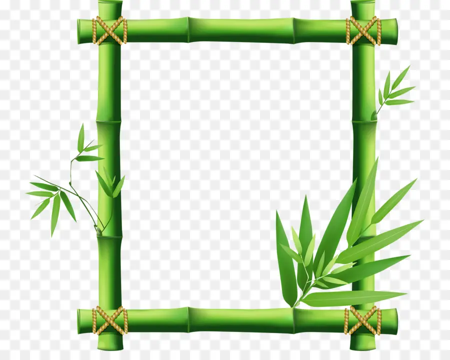 Quadro De Imagem，Bambu PNG
