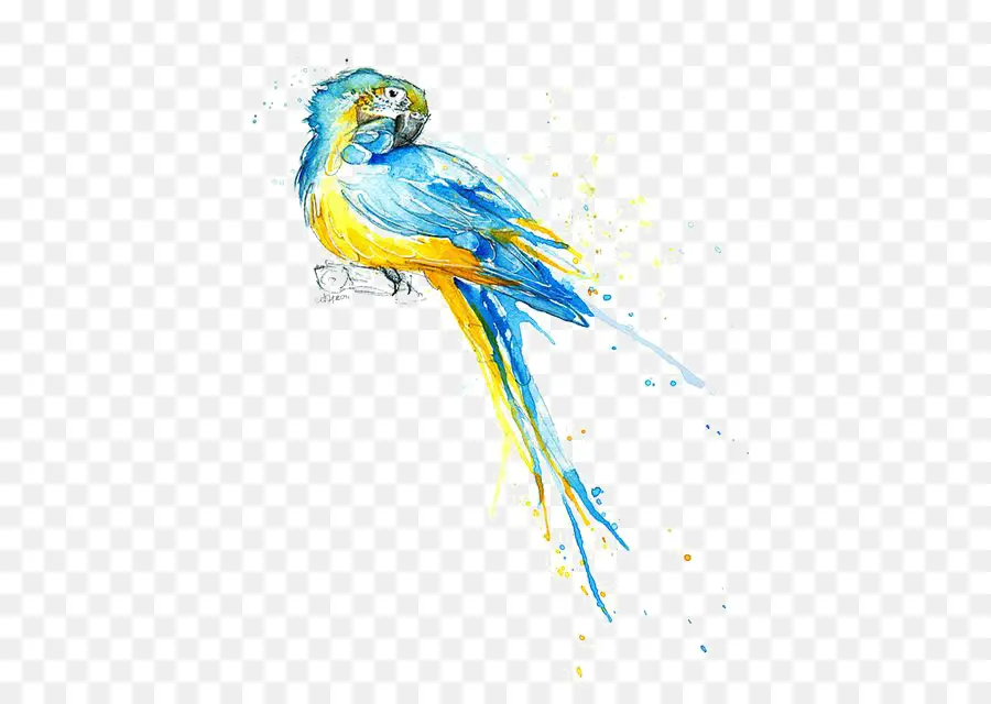 Papagaio，Pintura Em Aquarela PNG