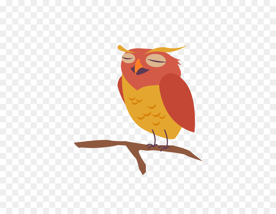 Coruja，Aves PNG