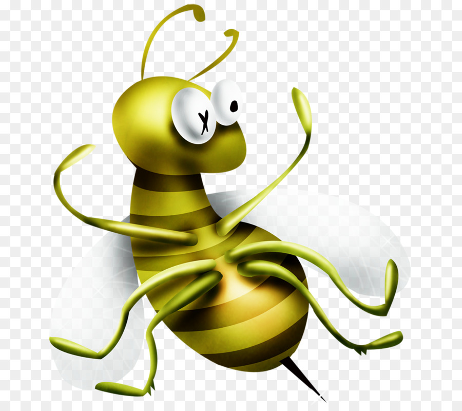 Apidae，Cartoon PNG