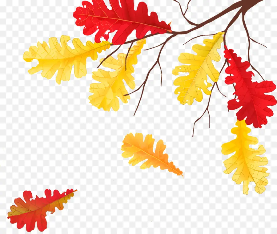 Autumn Leaves，Golden Autumn PNG