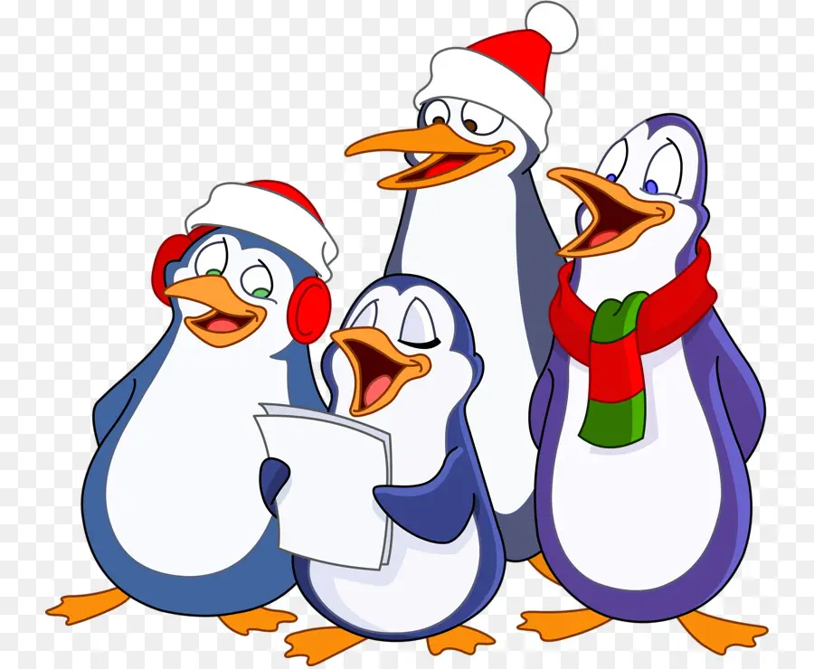 Pinguins Cantores，Natal PNG