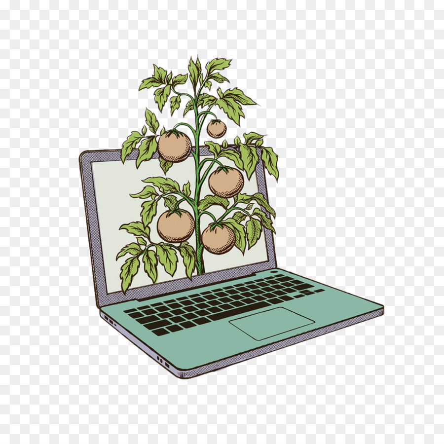 Laptop Com Planta，Tela PNG