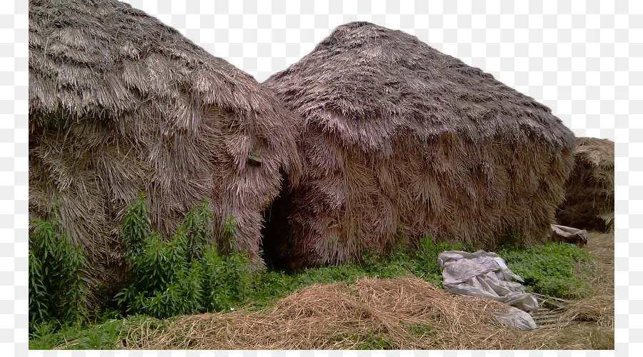 Cabanas De Palha，Telhado De Palha PNG