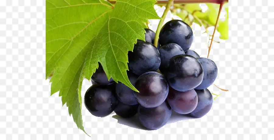 Uvas，Videira PNG