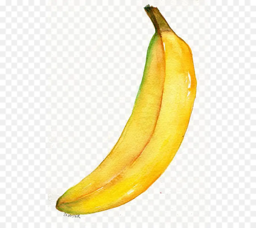 Pintura Em Aquarela，Banana PNG