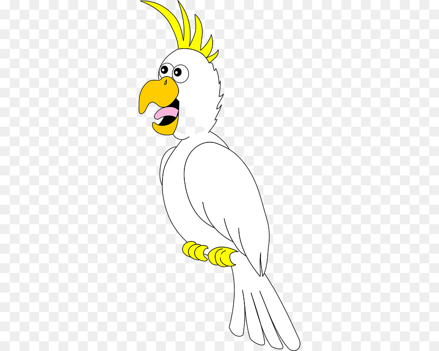 Aves，Papagaio Verdadeiro PNG