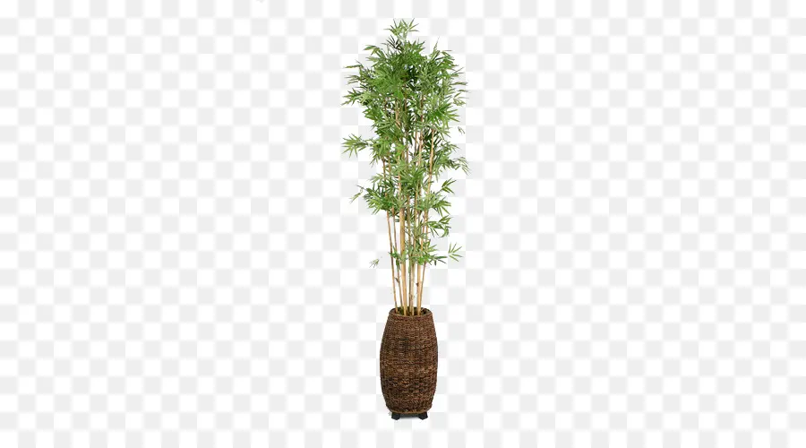 Flowerpot，Bambu PNG