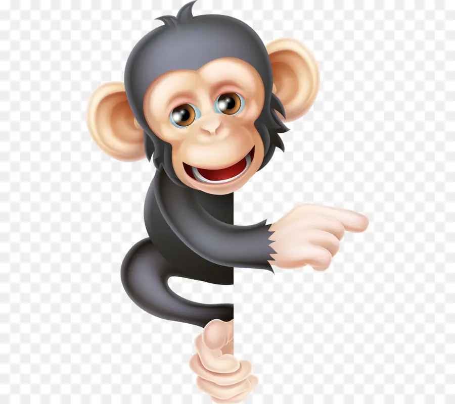 Chimpanzé Comum，Orangotango PNG