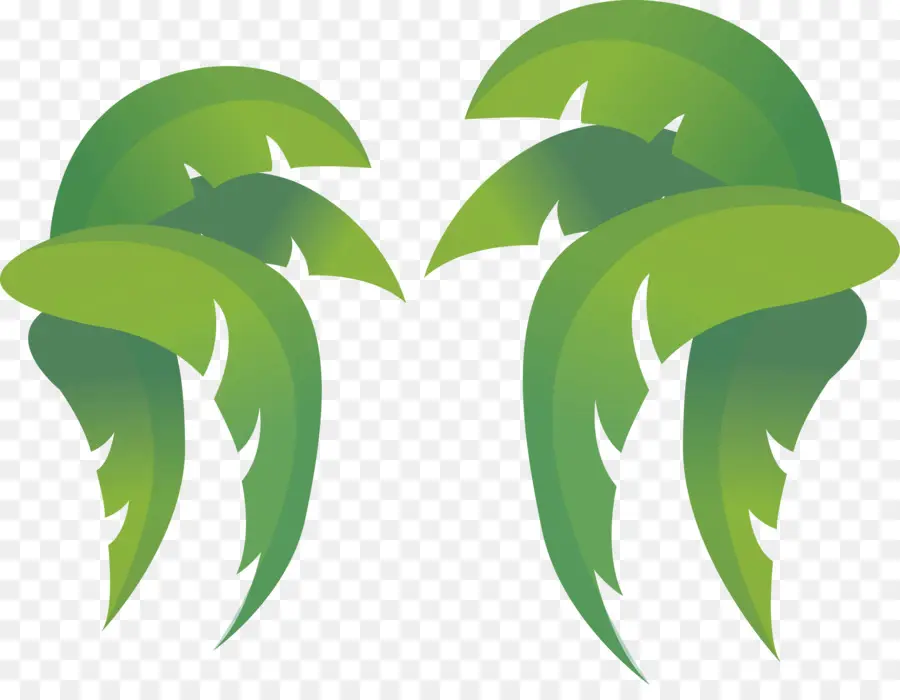 Folha，Coco PNG