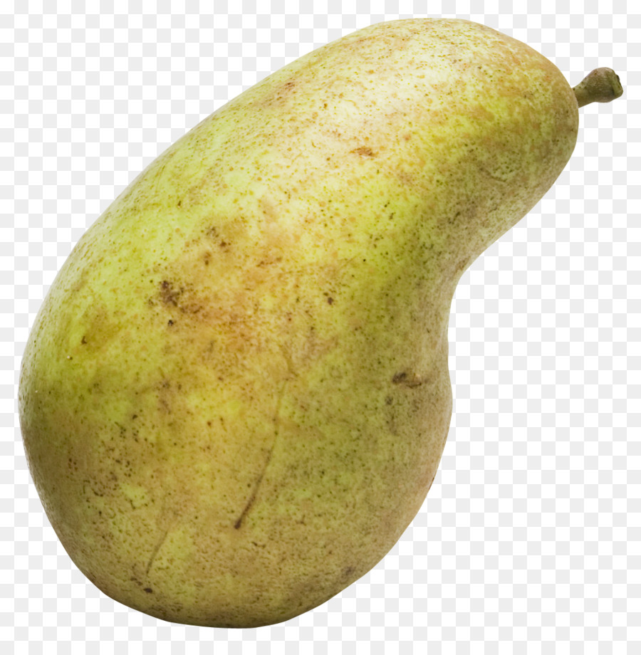 Pyrus Hang Zhou Xd7 Bretschneideri，Pyrus Nivalis PNG