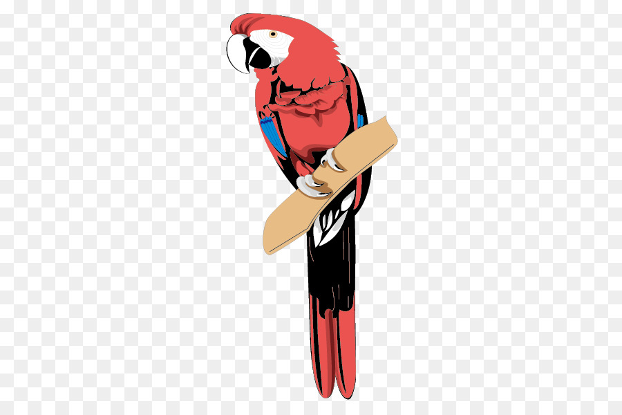 Papagaio Vermelho，Pássaro PNG