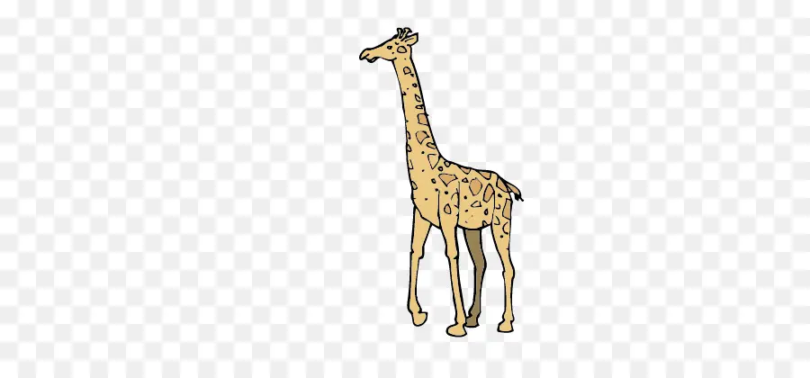 Desenho De Girafa，Animais Selvagens PNG