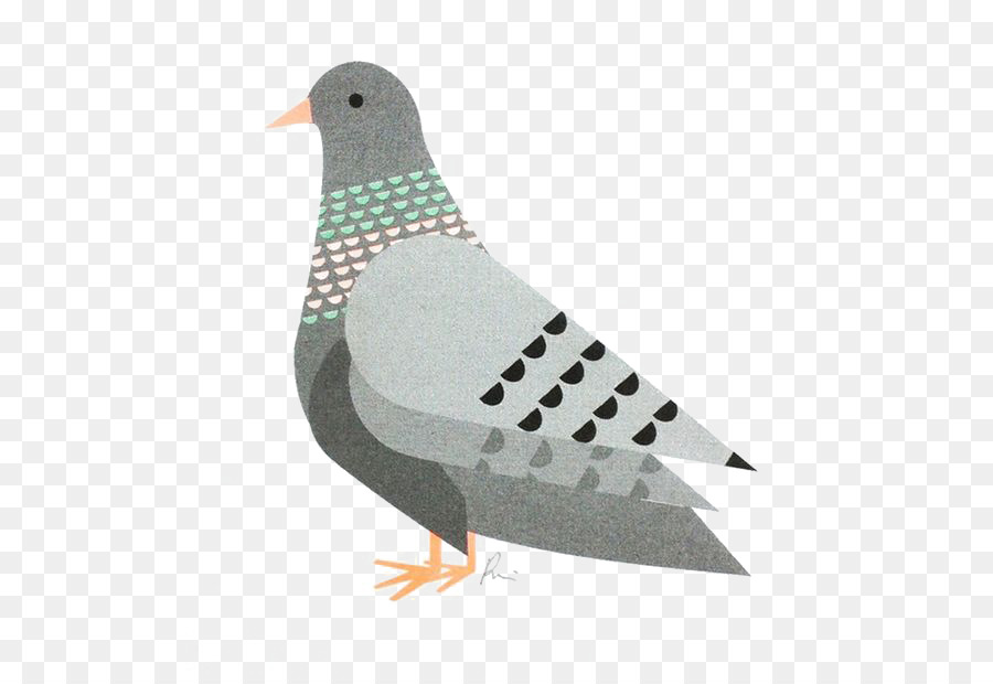 Pombo，Urbano PNG