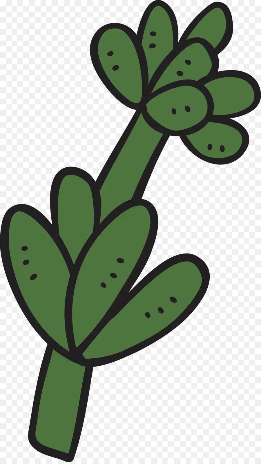 Cartoon，Suculenta Planta PNG