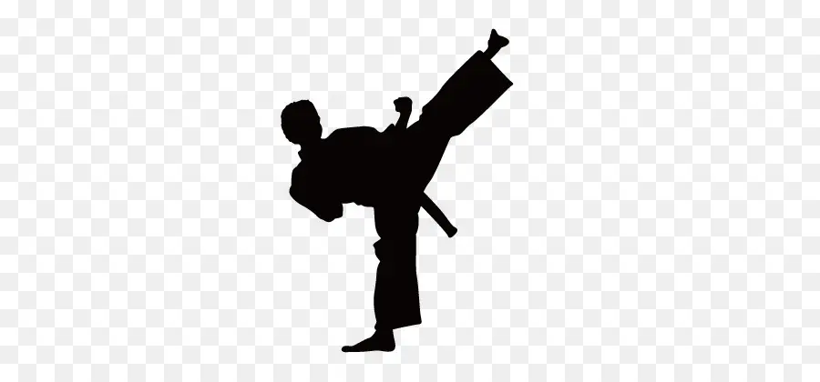 Karate，De Autocolantes De Parede PNG