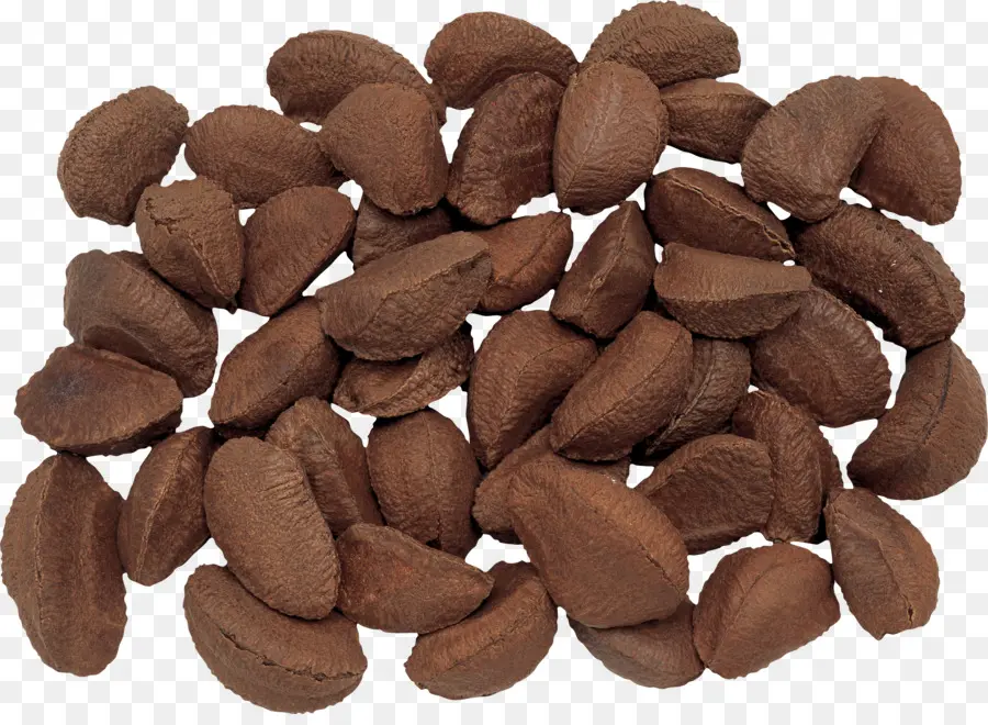 Sementes De Chocolate，Marrom PNG