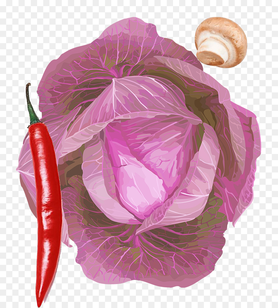 Pimentão，Vegetal PNG