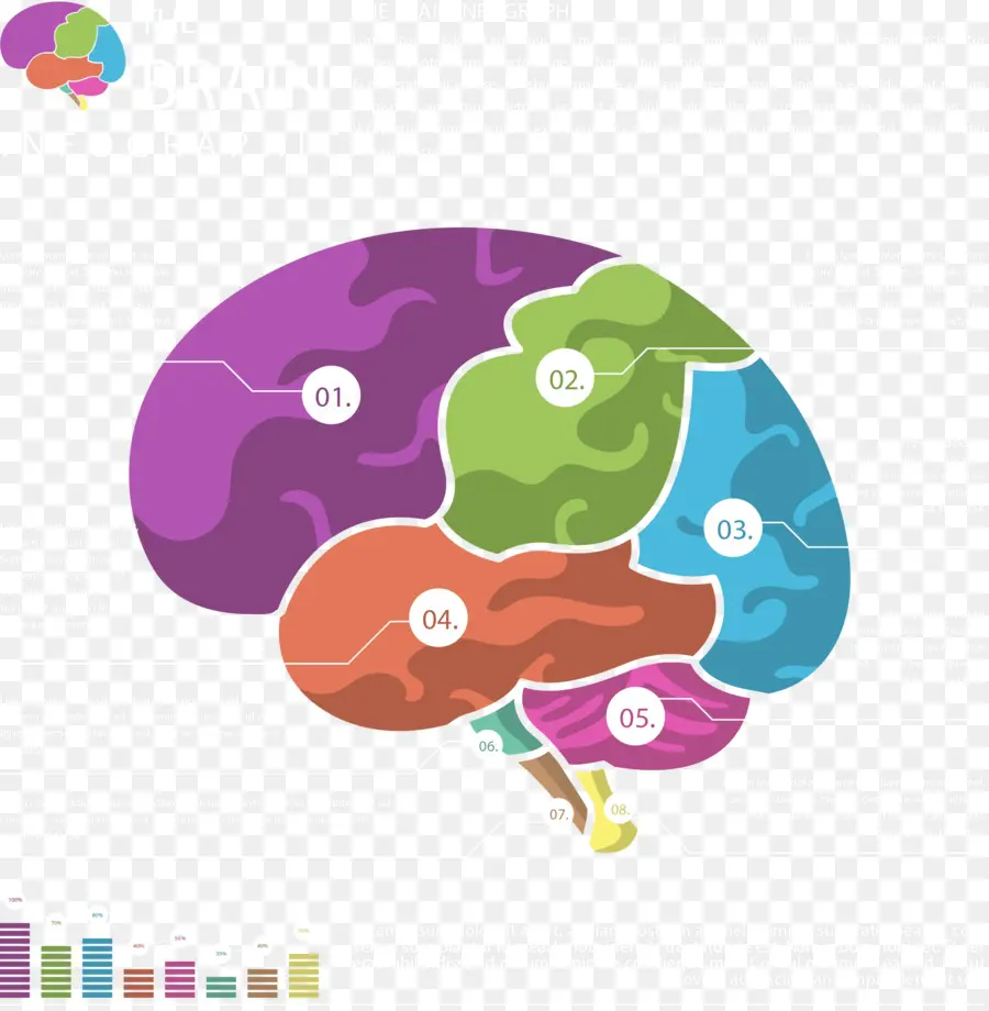 Diagrama Cerebral，Mente PNG