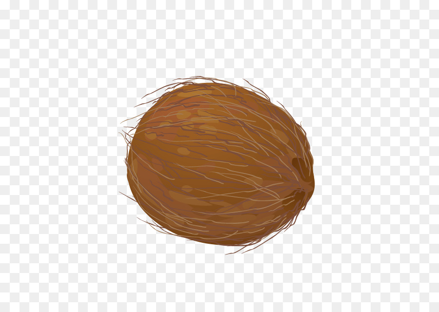 Praline，Coco PNG