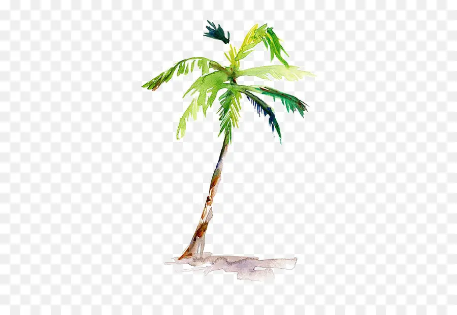 Pintura Em Aquarela，Arecaceae PNG